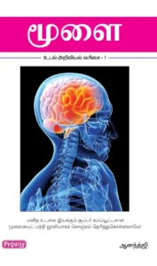 மூளை \ Moolai